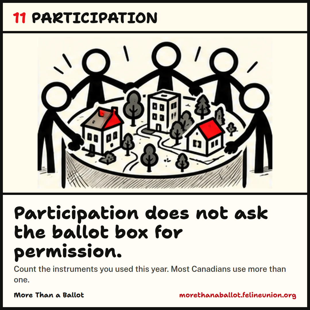 Participation does not ask the ballot box for permission. Count the instruments you used this year. Most Canadians use more than one.